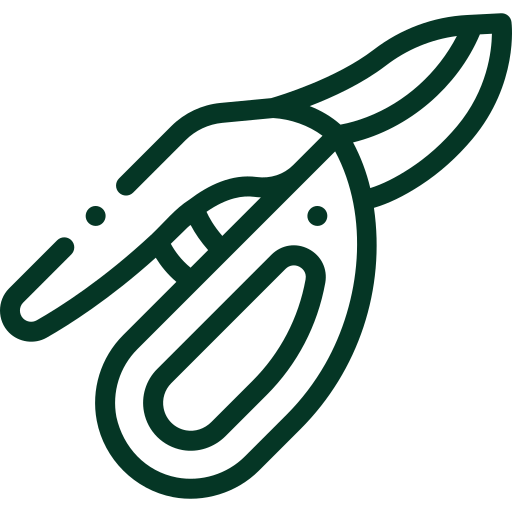 pruning-landscaping-melbourne