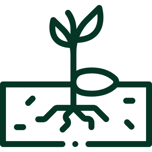 weed-removal-melbourne-weeding